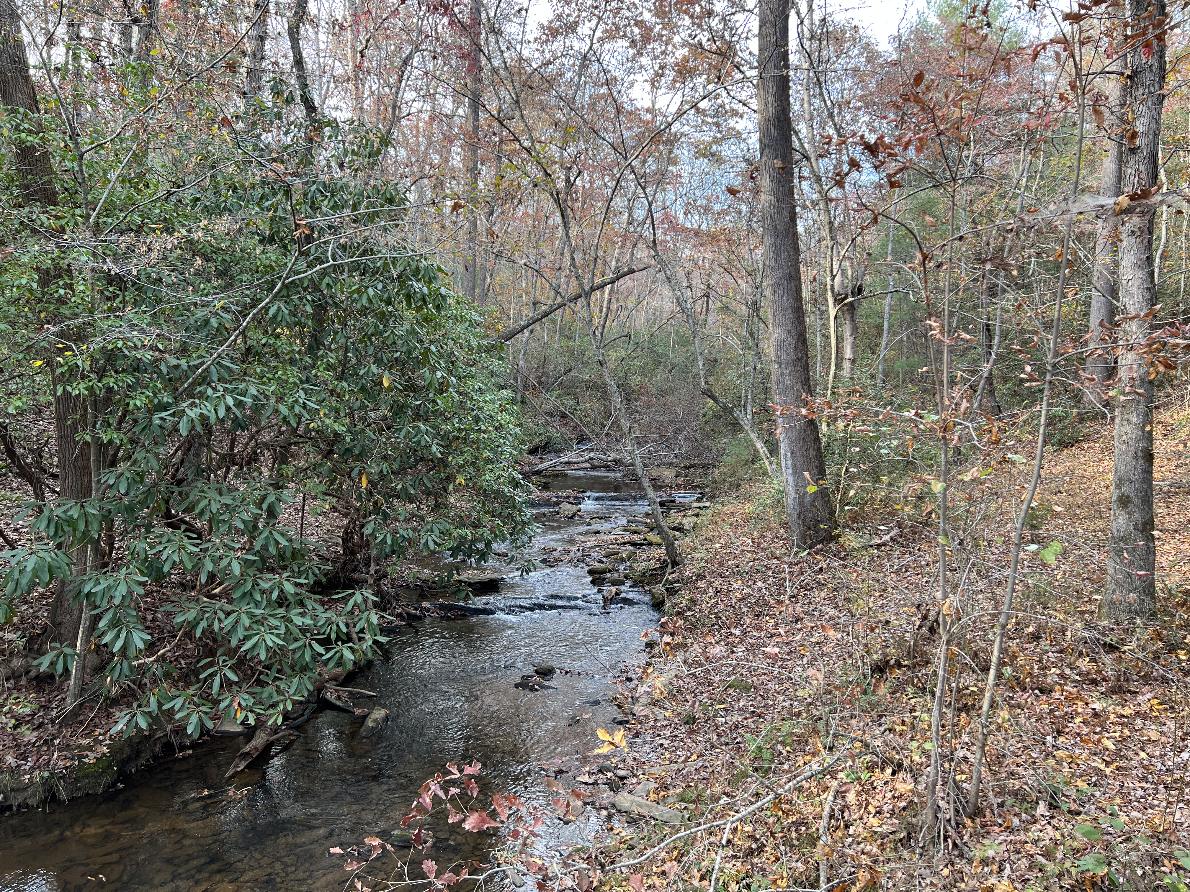 ./2023/13 - Elkin/IMG_0491.jpg